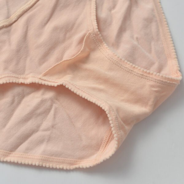 Small Size Bamboo Fiber Nylon Triangle Panties Cotton Crotch Low Waist Pregnancy Comfort and Good Wear